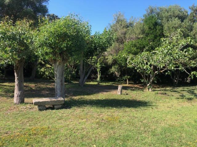 Civico 34 House 6 - Suite 2 Livelli Stintino Εξωτερικό φωτογραφία